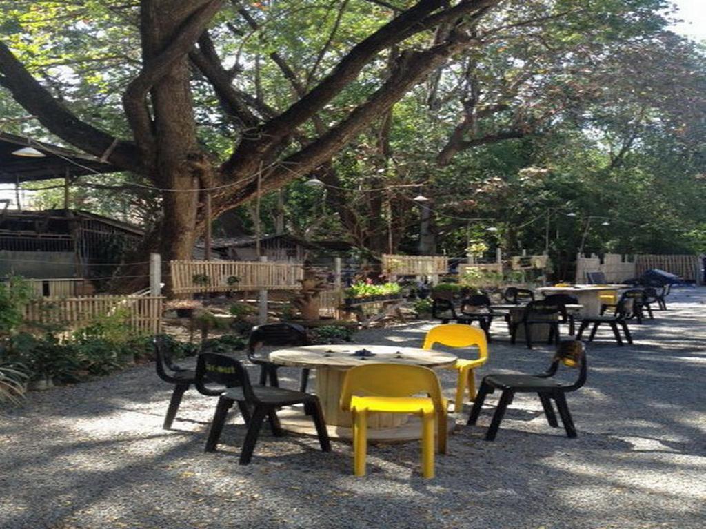 Viva Shack Vandrehjem Chiang Mai Eksteriør billede